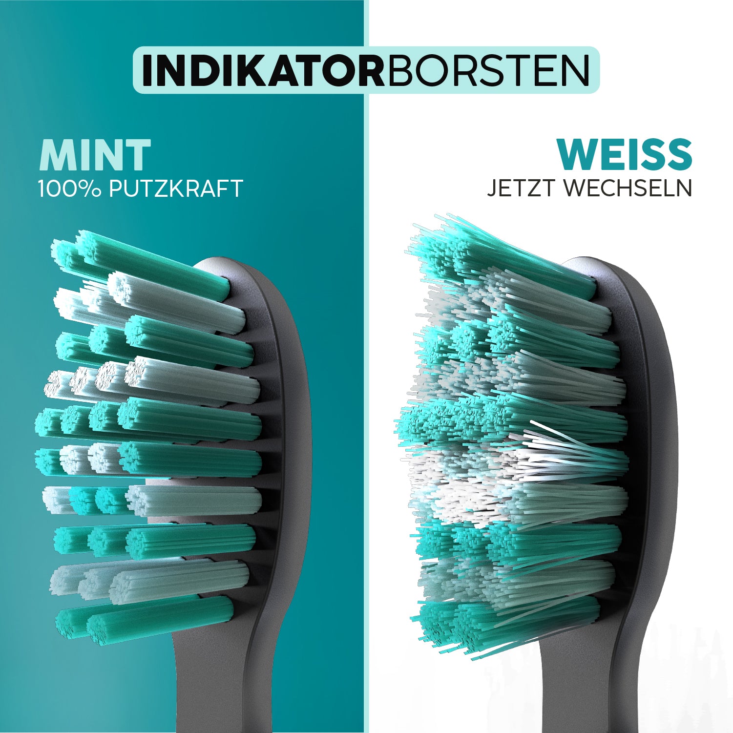 happybrush-aufsteckb-rsten-eco-vibe-3-black-mint-schallzahnb-rstenk-pfe image 4