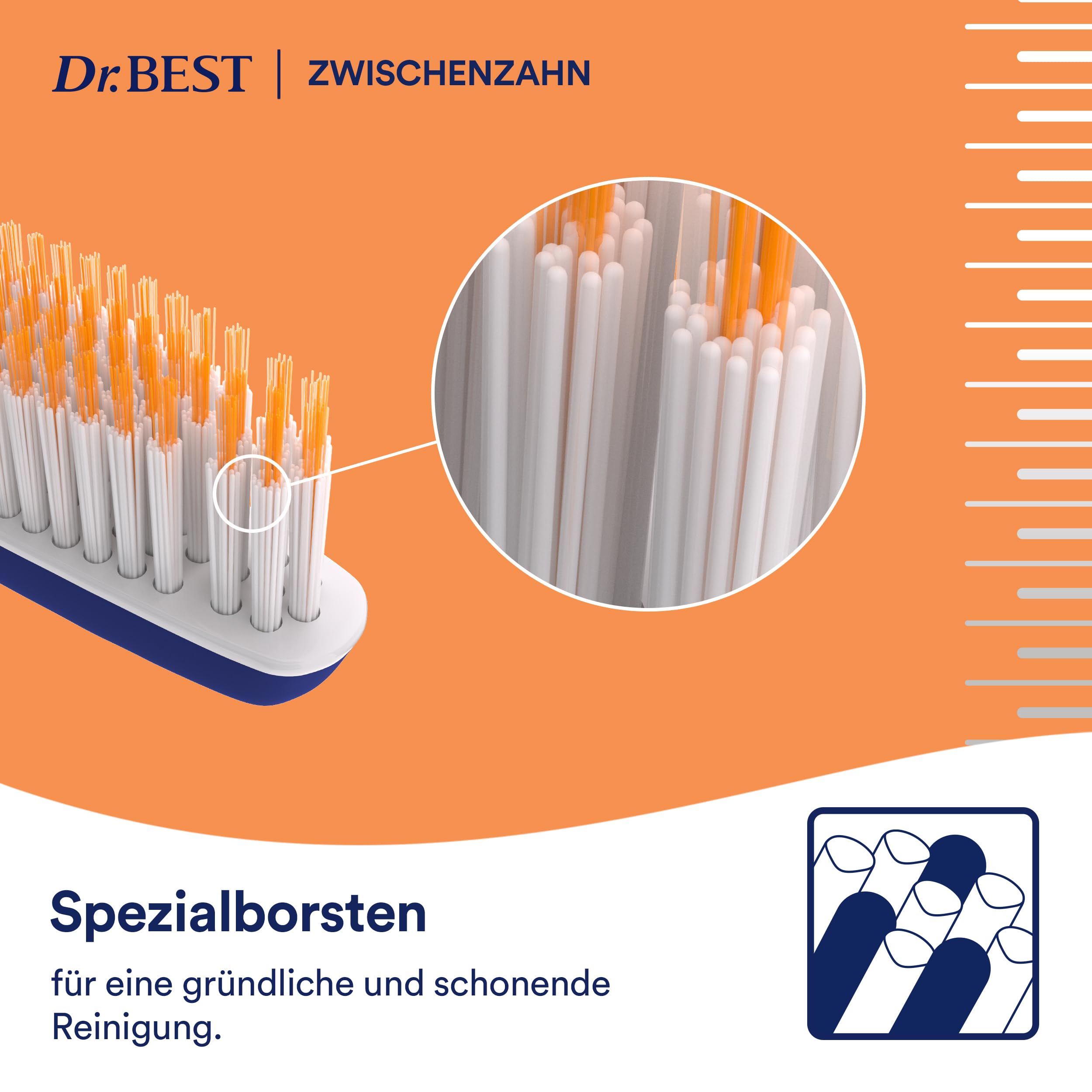 dr-best-zwischenzahn-zahnb-rste-mittel-handzahnb-rste-1-st-ck image 5