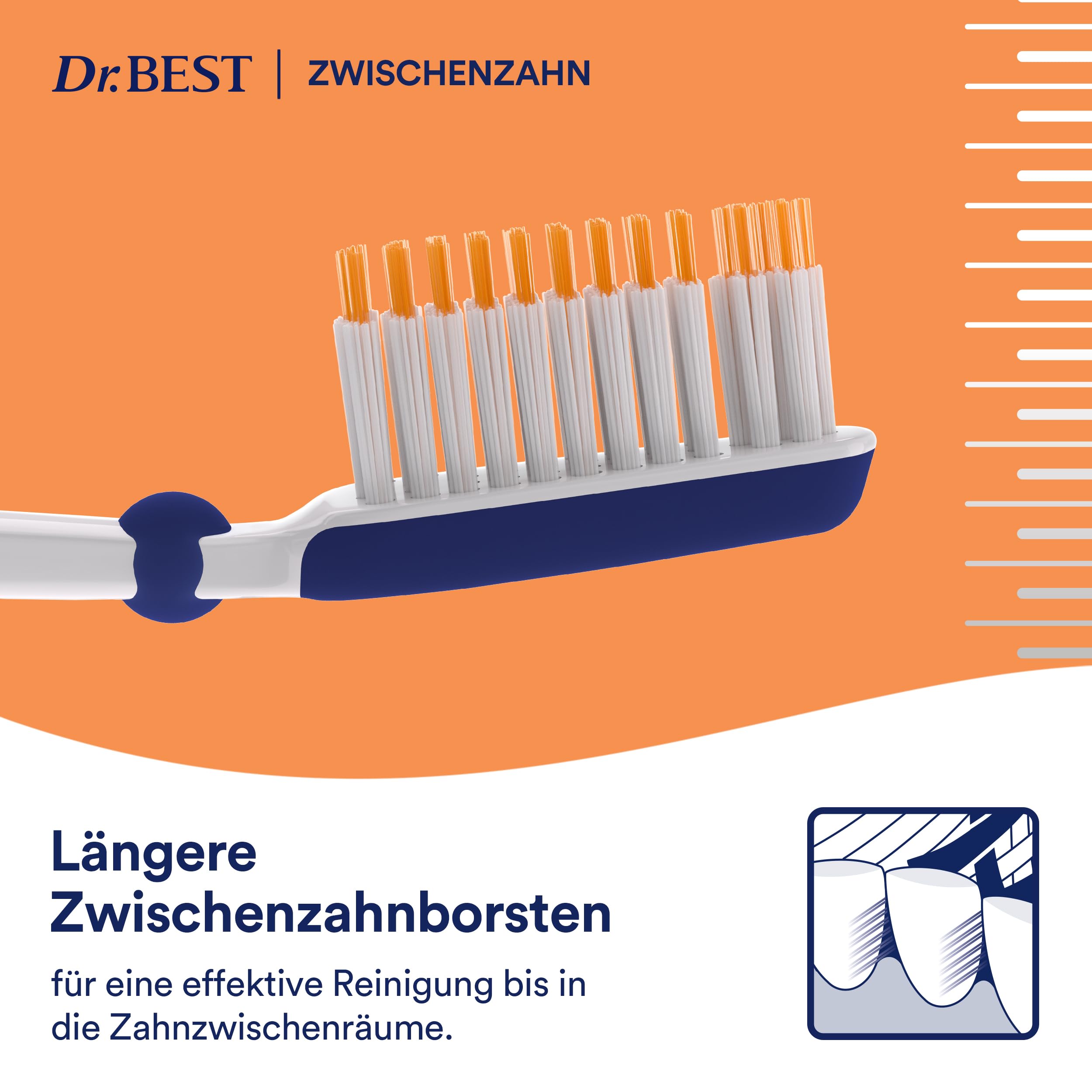 dr-best-zwischenzahn-zahnb-rste-mittel-handzahnb-rste-1-st-ck image 4
